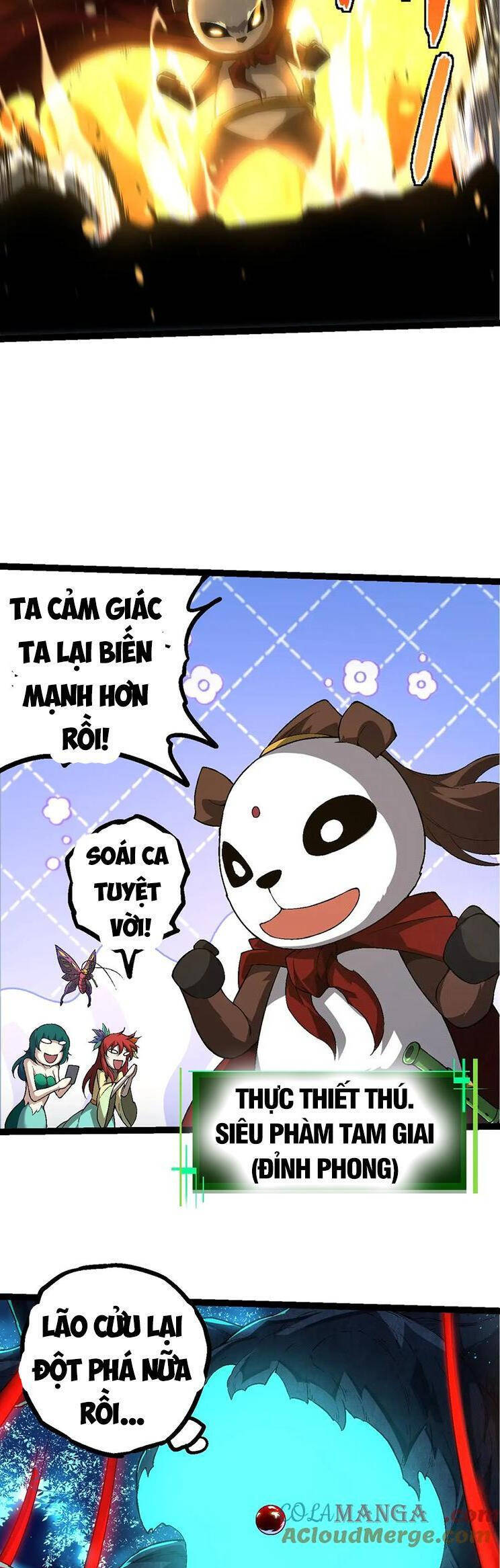 Trang 25
