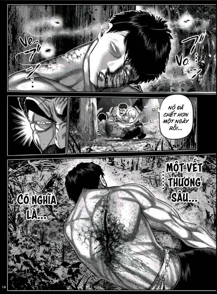Trang 15