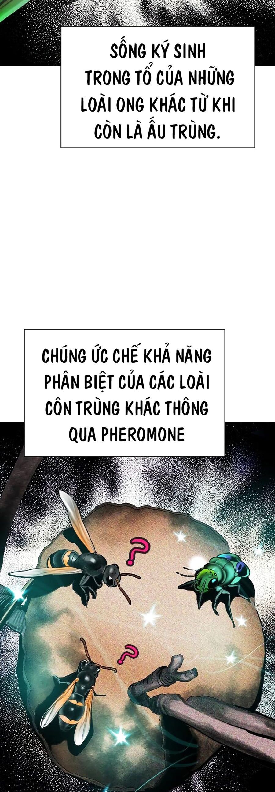 Trang 47