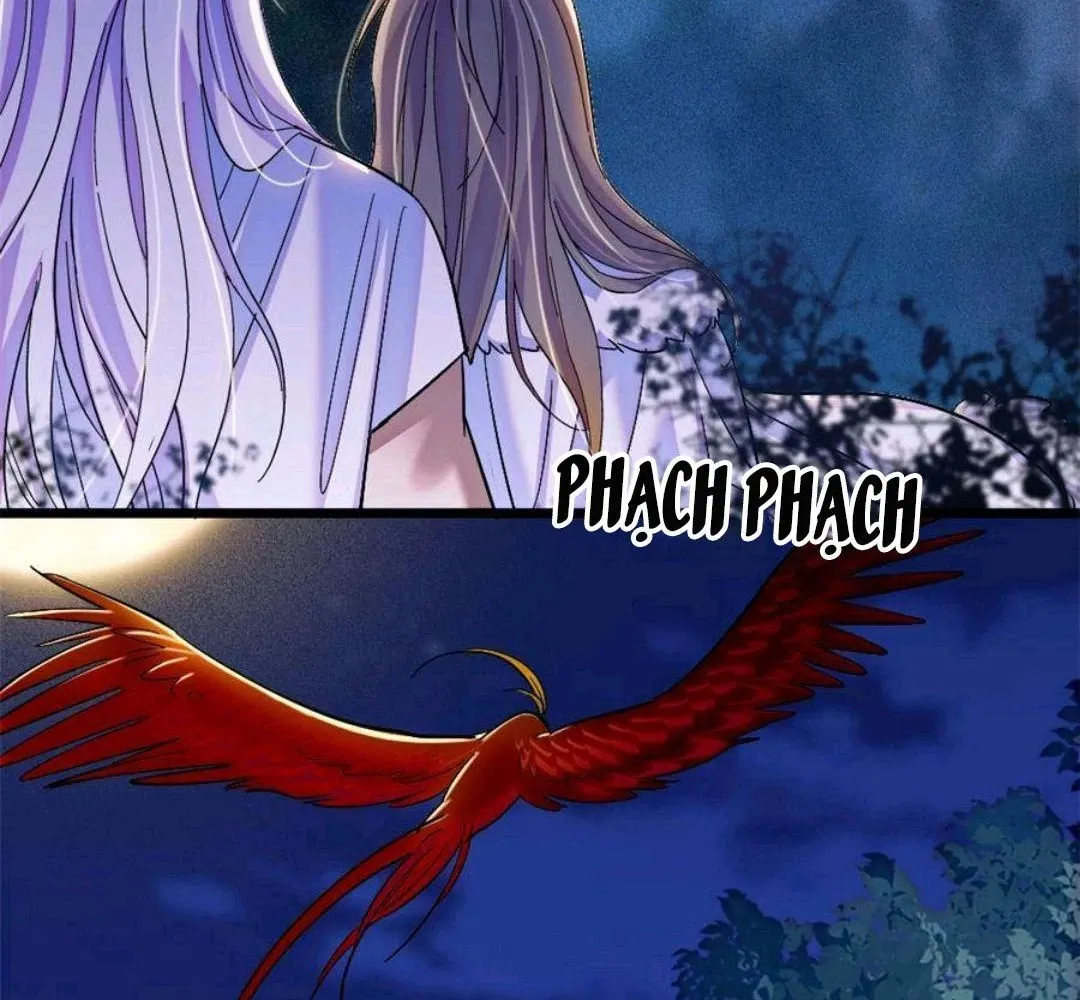 Chương 247 - trang 12